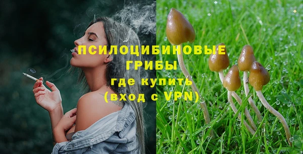 СК Волосово